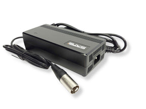 Caricabatterie Deli sslc165v55