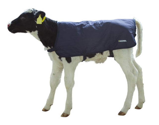 Sottopolpaccio easywear Abi Products blu 70cm