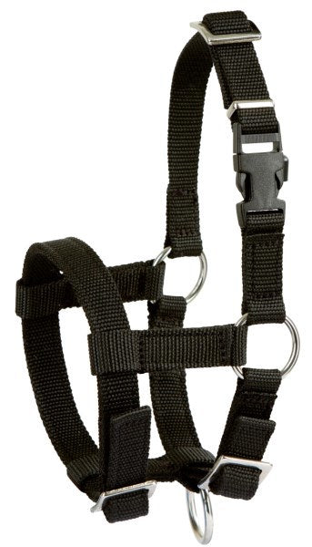 Prodotti cavezza in alpaca nera