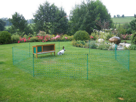 Rete per conigli Ako Products, 65 cm x 50 m, perno singolo