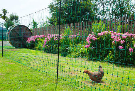Rete per polli Ako Products 106 cm 50 m a perno singolo verde