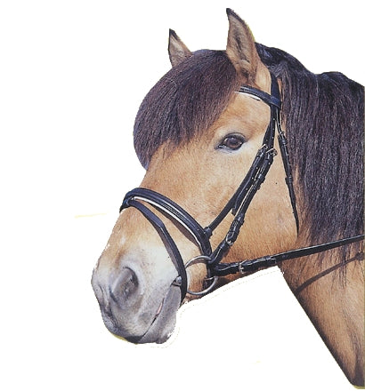 Prodotti briglia standard in cuoio nero cob