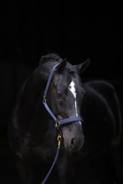 Prodotti Abi topline cavezza blu 1 pony