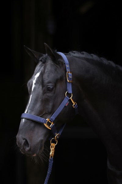 Prodotti Abi topline cavezza blu 2 completi