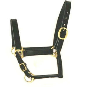 Prodotti capezza in pelle cavallino marrone