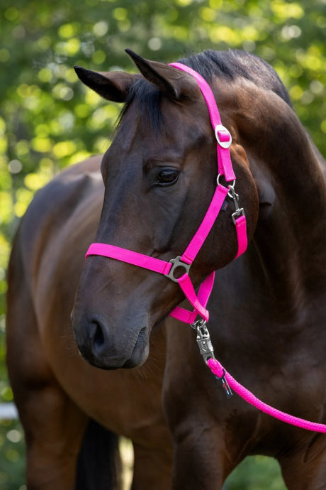 Abi prodotti cavezza ippopotamo rosa 0 shetland