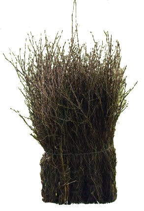Eurotools Scopa da spazzare marrone 75 cm