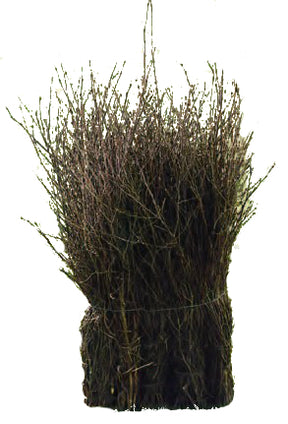 Eurotools Scopa da spazzare marrone 75 cm