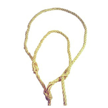 Prodotti Capezze per tori con cordino 12 pz