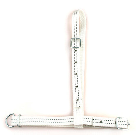 Prodotti Capezza da pascolo senza catena nylon bianca
