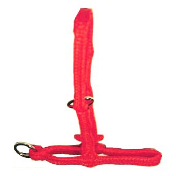 Prodotti mucca arancione polyhalter