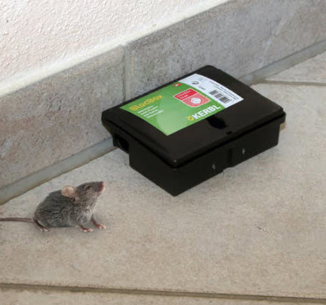 Scatola di alimentazione prodotti più scatola per blocco chiavi peti mouse