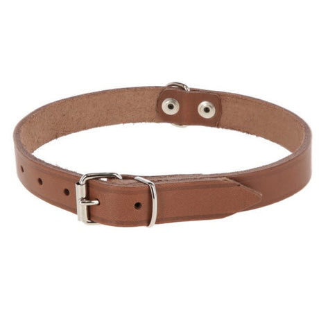 Prodotti collare per cani in pelle 12mm naturale