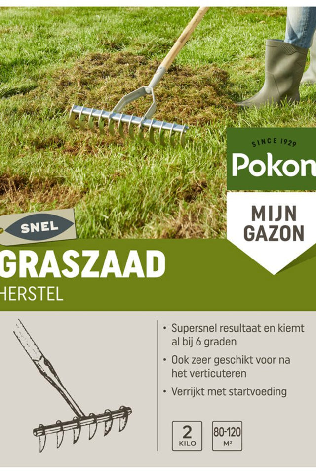 Prodotti Pokon sos recupero semi erba 2kg