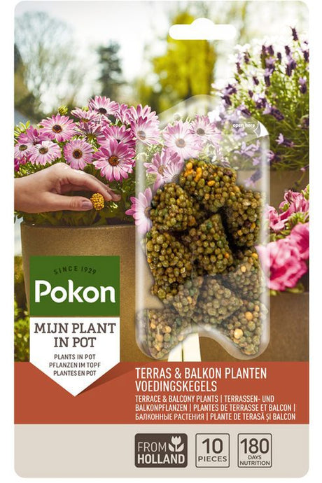 Pokon prodotti terrazzo balcone nutrizione piante coni lunghi 10 pz