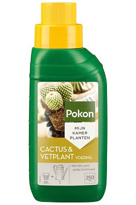 Pokon Products Cibo biologico per piante succulente per cactus 250 ml