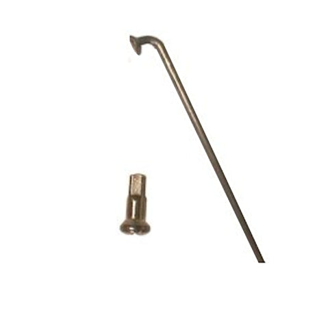 Raggi Sapim principalmente in acciaio inox 13 x 282 a 100 escluso nipplo