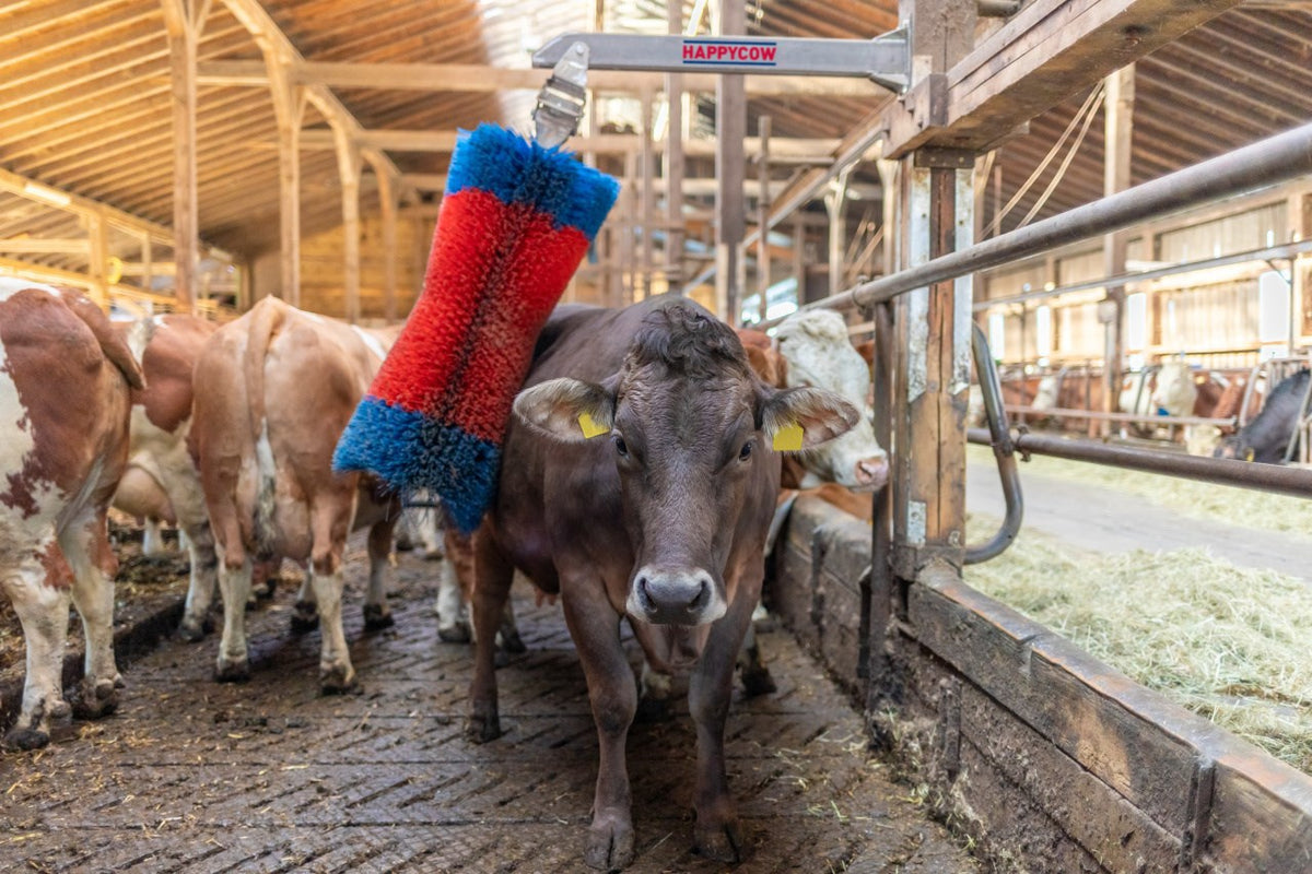 Prodotti happycow spazzola per bovini freemaxi
