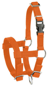 Prodotti alpaca capezza arancione