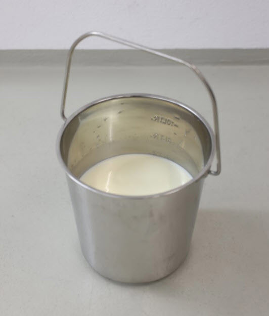 Prodotti secchiello in acciaio inox con manico 12 3l
