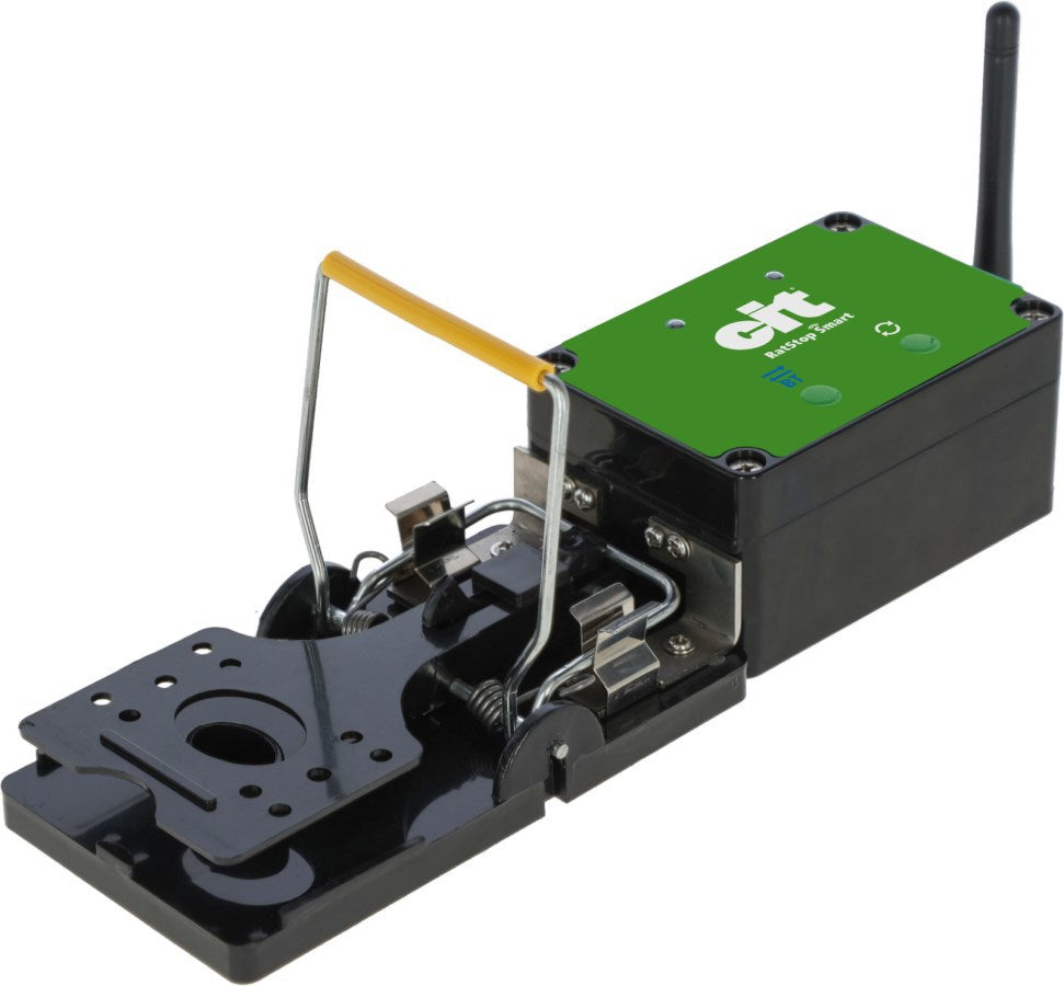 Prodotti trappola per topi smart cit ratstop