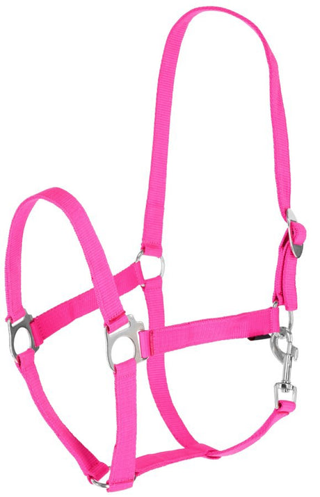 Abi prodotti cavezza ippopotamo rosa 0 shetland