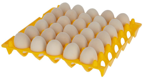 Prodotti portauova in plastica per 30 uova