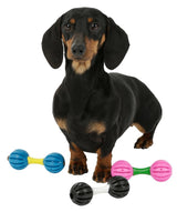 Prodotti manubri giocattolo per cani