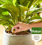 Prodotti Pokon piante da balcone per terrazzo coni nutrizionali 10 pz