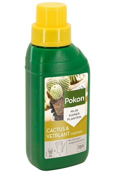 Pokon Products Cibo biologico per piante succulente per cactus 250 ml