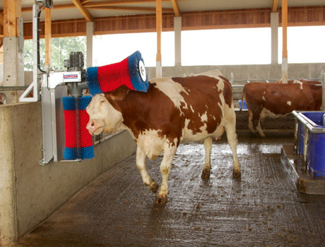 Prodotti happycow coppia di spazzole per mucche