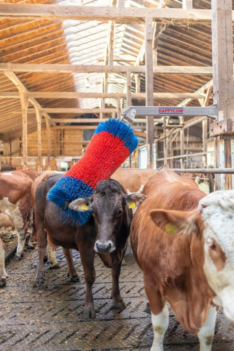 Prodotti happycow spazzola per bovini freemaxi