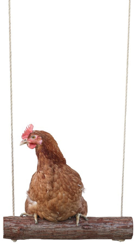 Altalena per galline dei prodotti Kerbl 39 x 5 cm