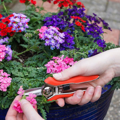 Cesoie da raccolta trimmer prodotti Connex mini