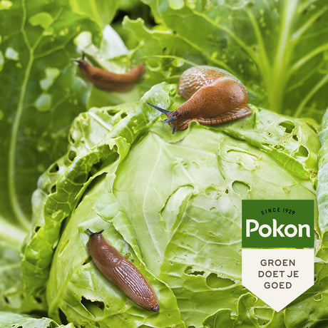 Pokon prodotti bio contro le lumache in granuli 450gr