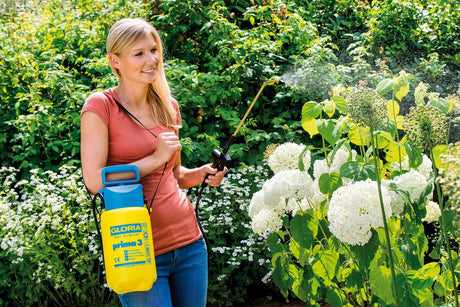 Gloria spruzzatore a pressione fine 3 - 3l