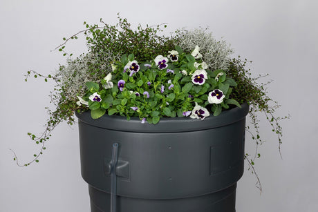 Prodotti Fioriera da giardino a botte di pioggia 230l
