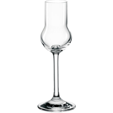 Bicchieri da liquore puro Montana 6pz 60ml