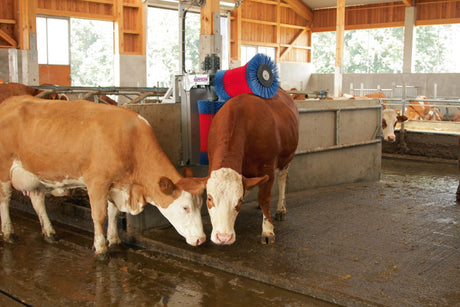 Prodotti happycow coppia di spazzole per mucche