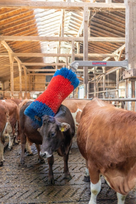 Prodotti happycow spazzola per bovini freemaxi