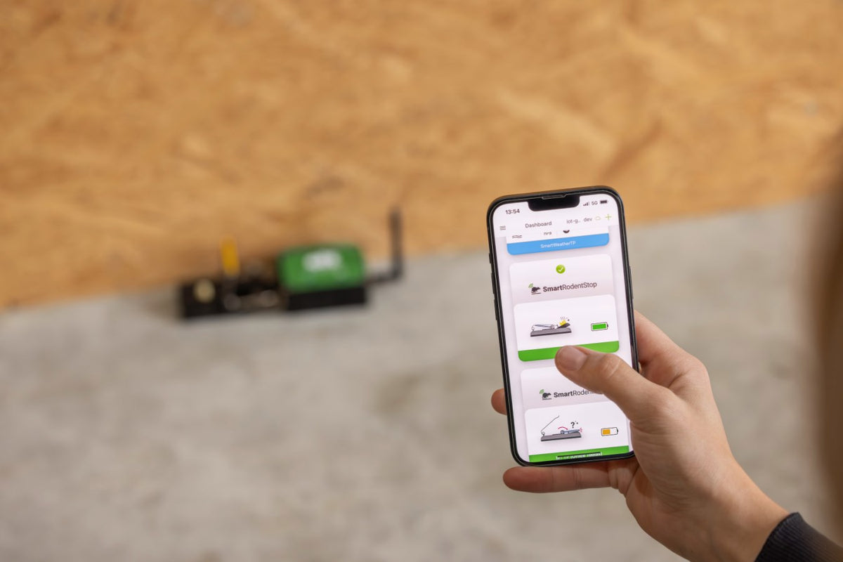 Prodotti trappola per topi smart cit ratstop
