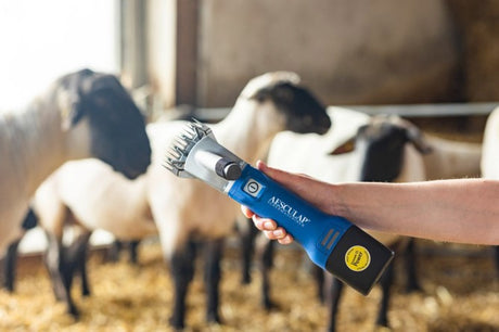 Aesculap Econom Products Tosatrice per pecore Econom Nova Cordless Plus1 Batteria