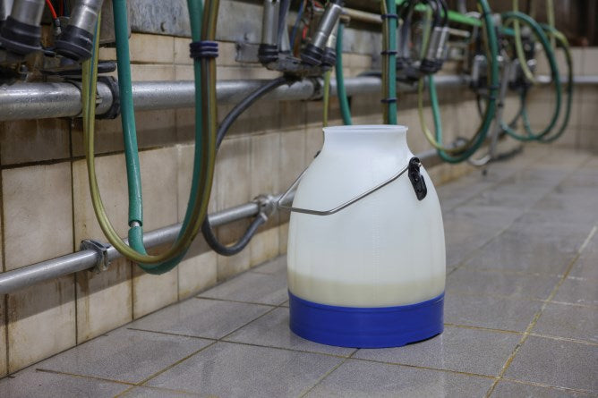Secchio per latte prodotti Kerbl semi trasparente blu 30 litri