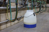 Secchio per latte prodotti Kerbl semi trasparente blu 30 litri