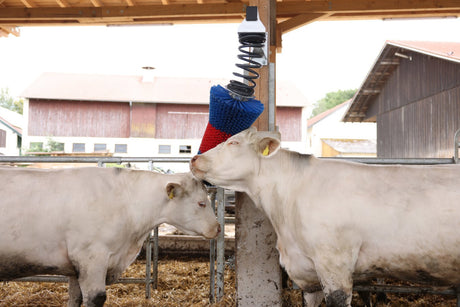 Prodotti happycow spazzola per bovini flexiswing