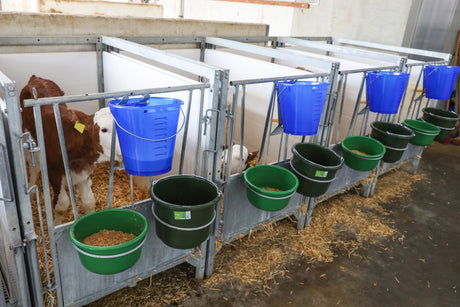 Prodotti secchiello per vitelli in plastica appiattita nuda blu trasparente