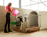 Prodotti secchiello per vitelli in plastica appiattita nuda rosa trasparente