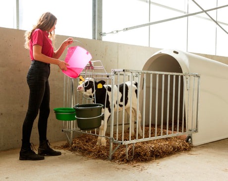 Prodotti secchiello per vitelli in plastica appiattita nuda rosa trasparente