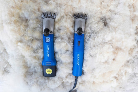 Aesculap Econom Products Tosatrice per pecore Econom Nova Cordless Plus1 Batteria