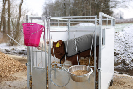 Prodotti secchiello per vitelli in plastica appiattita nuda rosa trasparente